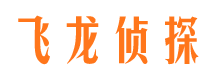 双阳市侦探调查公司